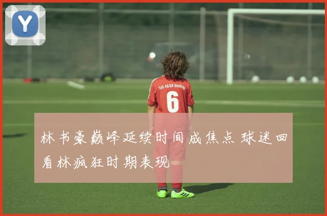 林书豪巅峰延续时间成焦点 球迷回看林疯狂时期表现